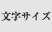文字サイズ